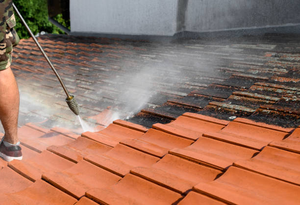 Best Best Pressure Washing Companies  in Newport, KY