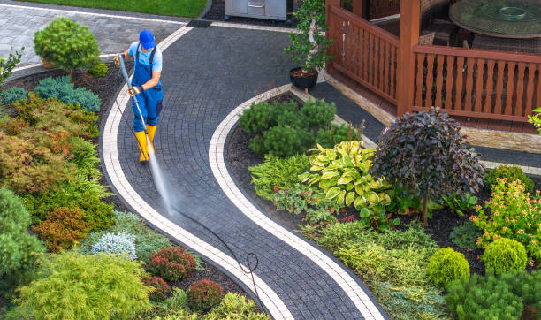 Best Pressure Washing Near Me  in Newport, KY